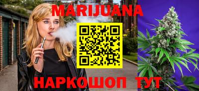 гидропоника Камышлов