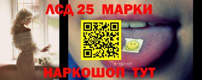 гидропоника Камышлов