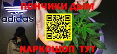гидропоника Камышлов