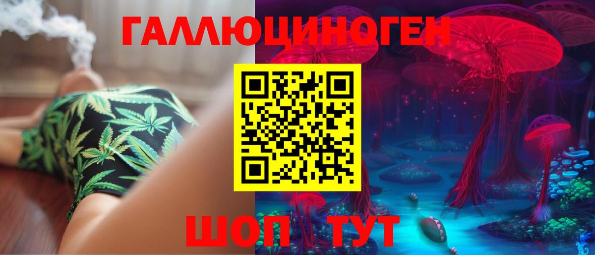 Псилоцибиновые грибы Psilocybe  Псилоцибиновые грибы GOLDEN TEACHER  Вход с VPN  Назрань 