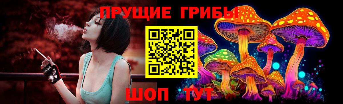 Галлюциногенные грибы MAGIC MUSHROOMS Назрань